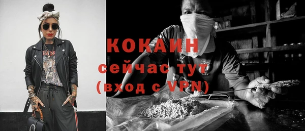 ГАЛЛЮЦИНОГЕННЫЕ ГРИБЫ Белокуриха