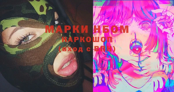 ГАЛЛЮЦИНОГЕННЫЕ ГРИБЫ Белокуриха