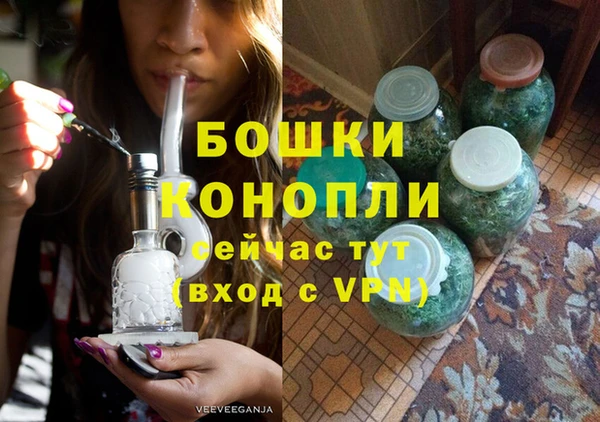 ГАЛЛЮЦИНОГЕННЫЕ ГРИБЫ Белокуриха