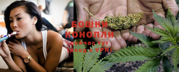 ГАЛЛЮЦИНОГЕННЫЕ ГРИБЫ Белокуриха