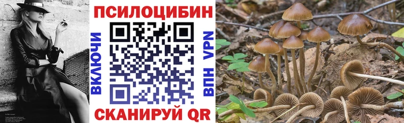 где купить наркотик  Плёс  Галлюциногенные грибы мухоморы 